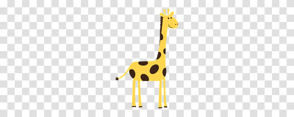Giraffe Nature, Mammal, Animal, Leisure Activities Transparent Png