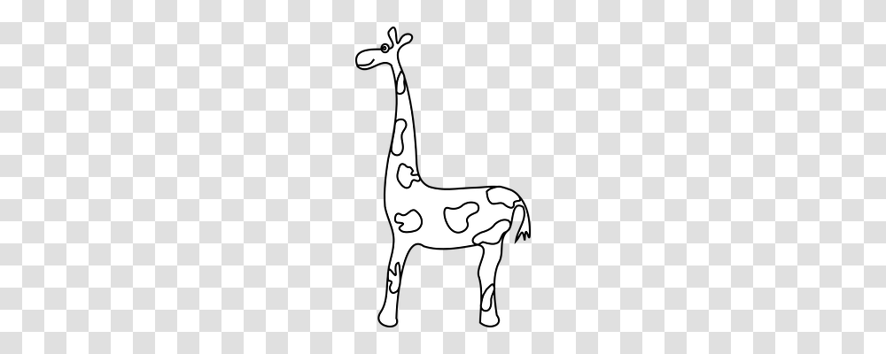 Giraffe Animals, Mammal, Person, Human Transparent Png