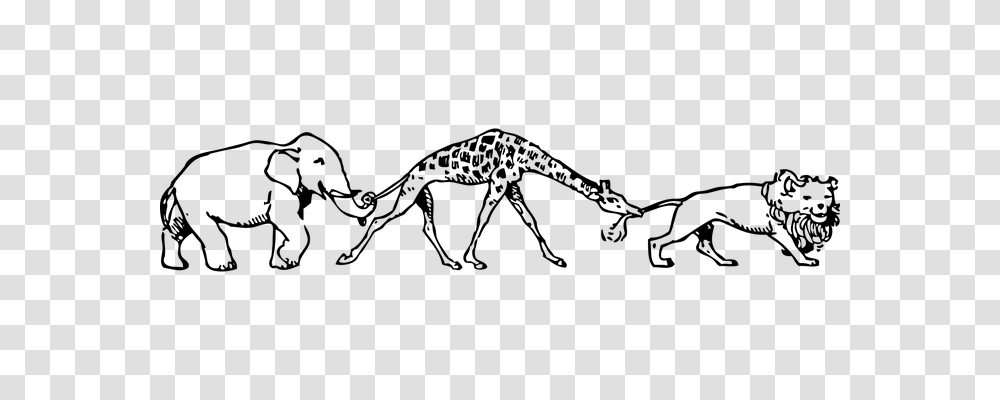 Giraffe Animals, Gray, World Of Warcraft Transparent Png