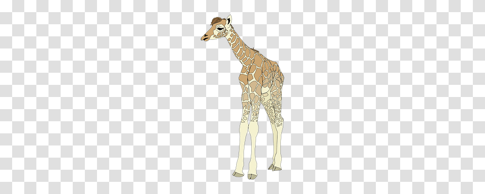 Giraffe Mammal, Animal, Wildlife, Cutlery Transparent Png