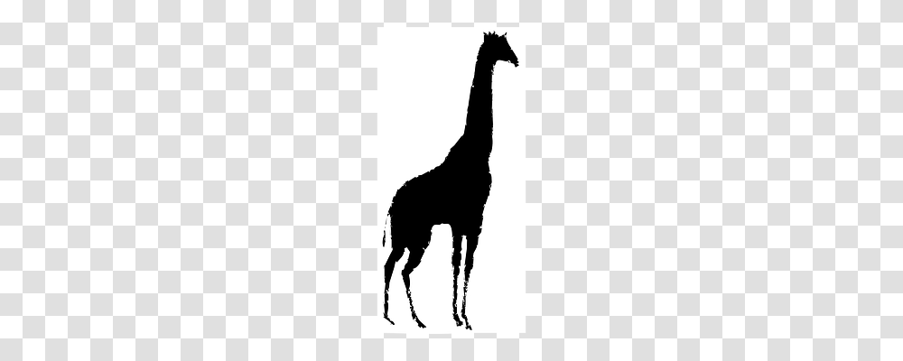 Giraffe Silhouette, Horse, Mammal, Animal Transparent Png