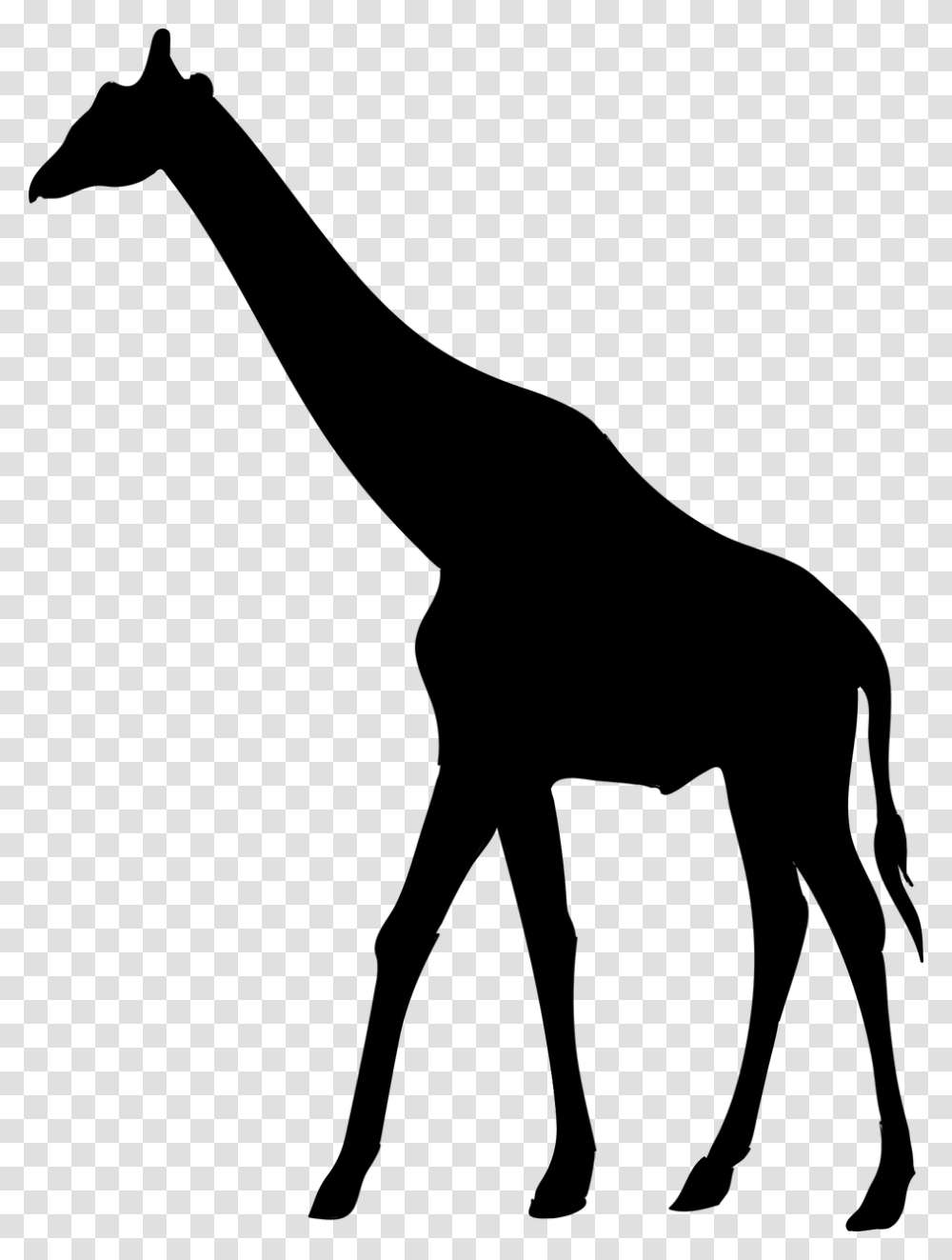 Giraffe African Animal Silhouette, Gray, World Of Warcraft Transparent Png