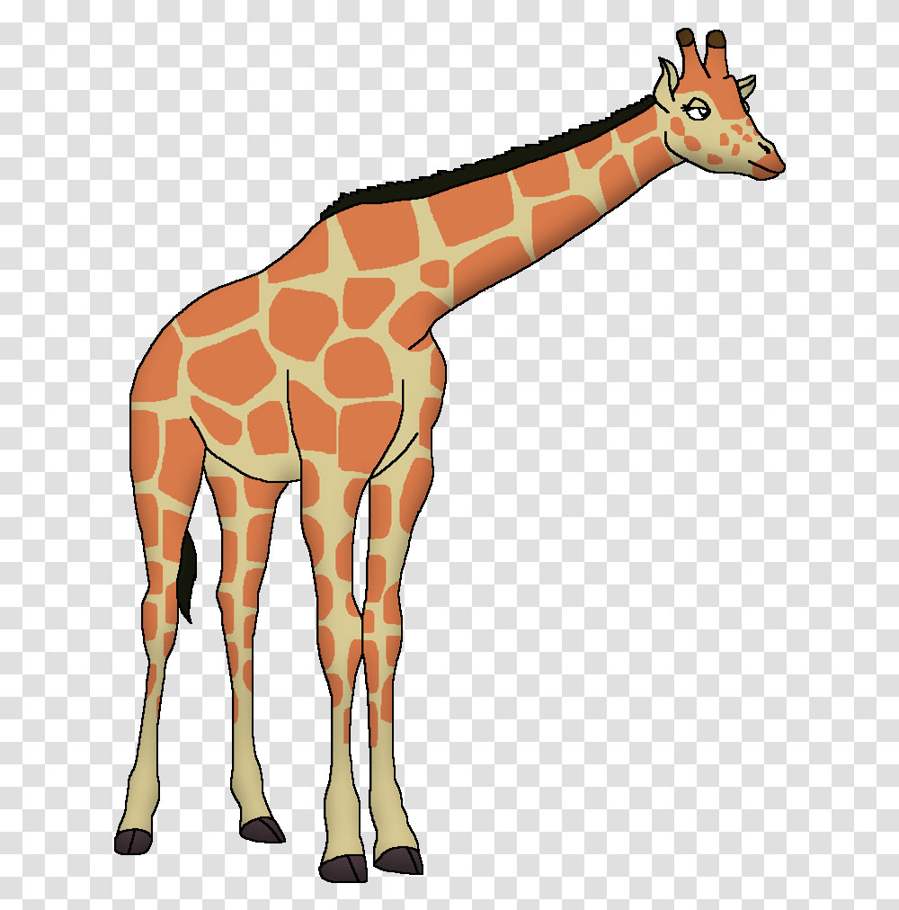 Giraffe, Animal, Mammal, Wildlife Transparent Png