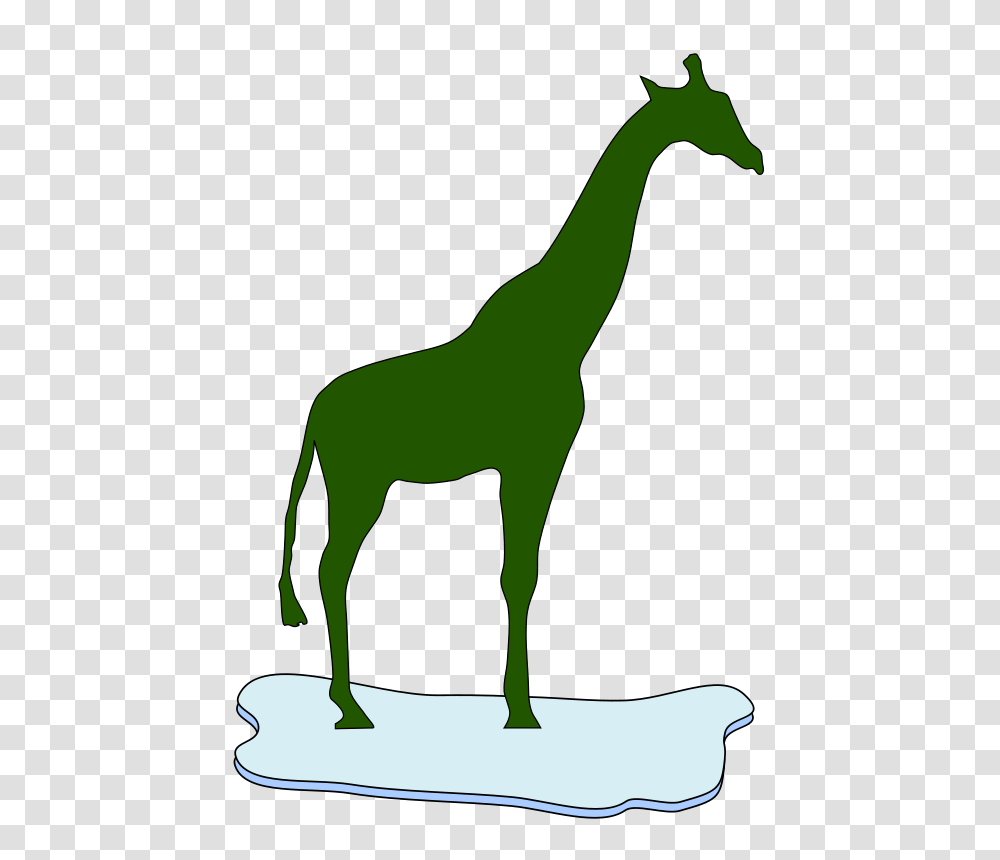 Giraffe Auf Einer Eisscholle, Nature, Mammal, Animal, Wildlife Transparent Png