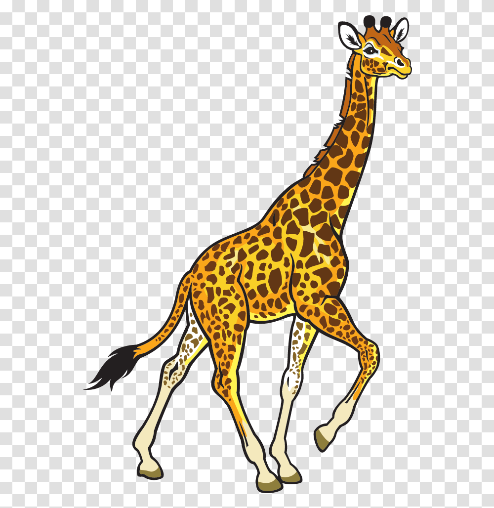 Giraffe Black And White, Wildlife, Mammal, Animal, Panther Transparent Png