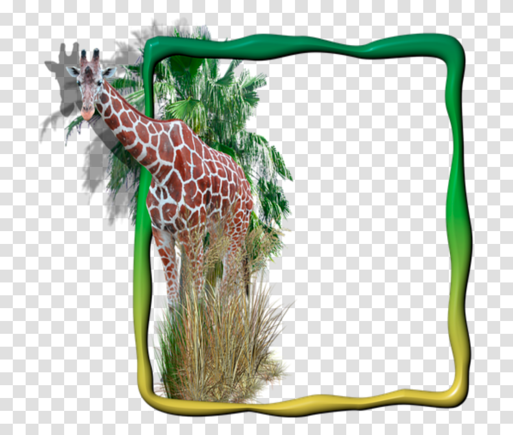 Giraffe Border Clipart Moldura Para Foto Digital Animais, Wildlife, Mammal, Animal, Plant Transparent Png