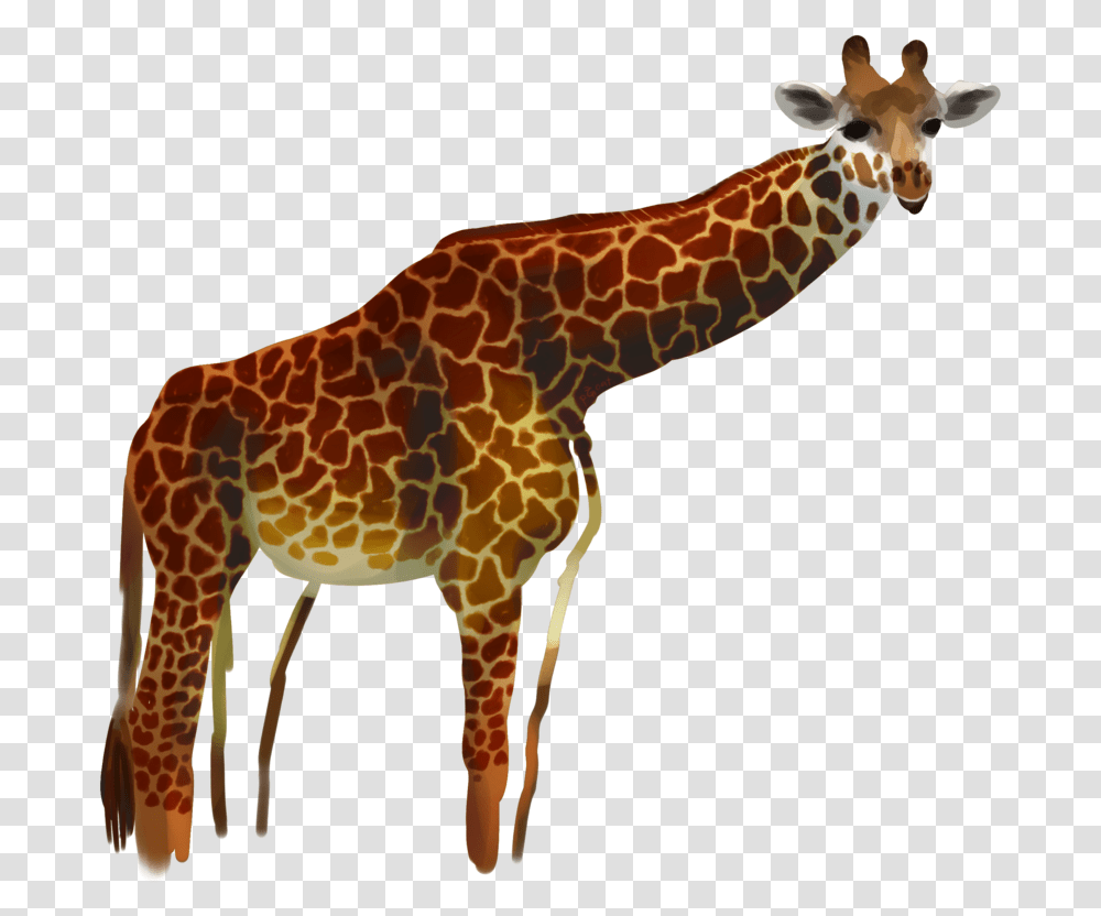 Giraffe By Procastinagoat Giraffe By Procastinagoat Giraffe, Wildlife, Mammal, Animal Transparent Png