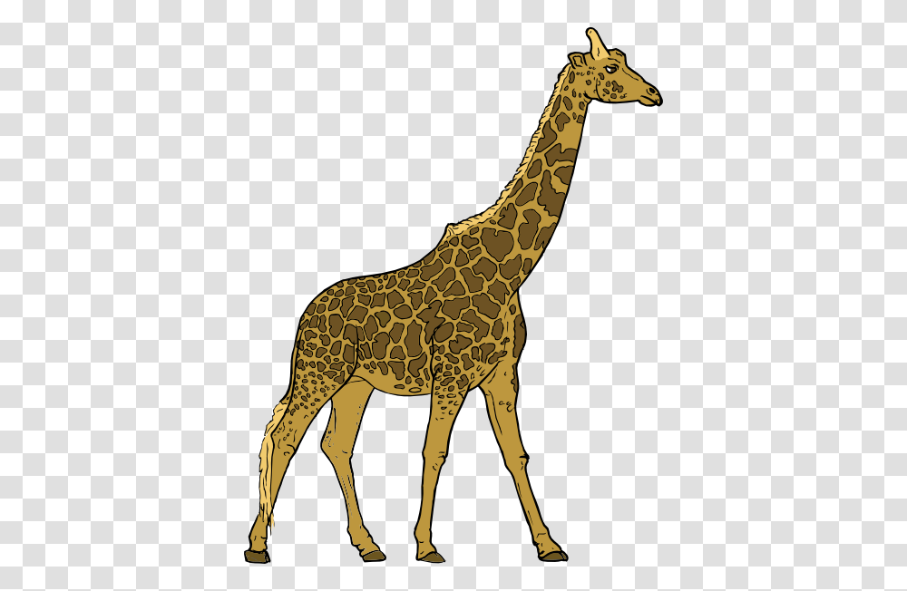 Giraffe Clip Art For Web, Wildlife, Mammal, Animal, Antelope Transparent Png