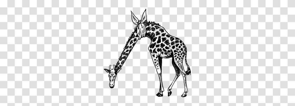 Giraffe Clip Art, Gray, World Of Warcraft Transparent Png