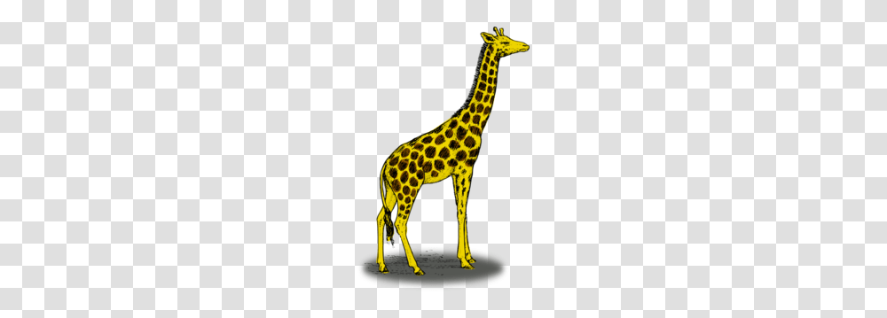 Giraffe Clip Art, Mammal, Animal, Wildlife, Panther Transparent Png