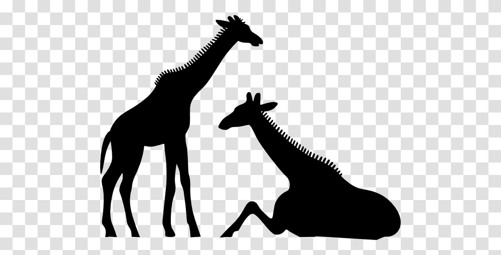 Giraffe Clip Art, Silhouette, Mammal, Animal, Wildlife Transparent Png