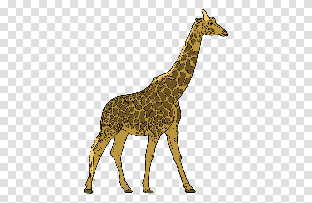 Giraffe Clip Art, Wildlife, Mammal, Animal, Antelope Transparent Png