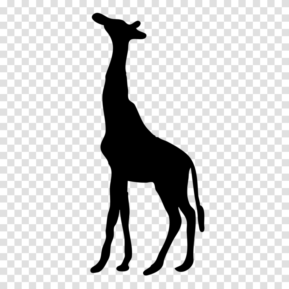 Giraffe Clipart Background, Gray, World Of Warcraft Transparent Png
