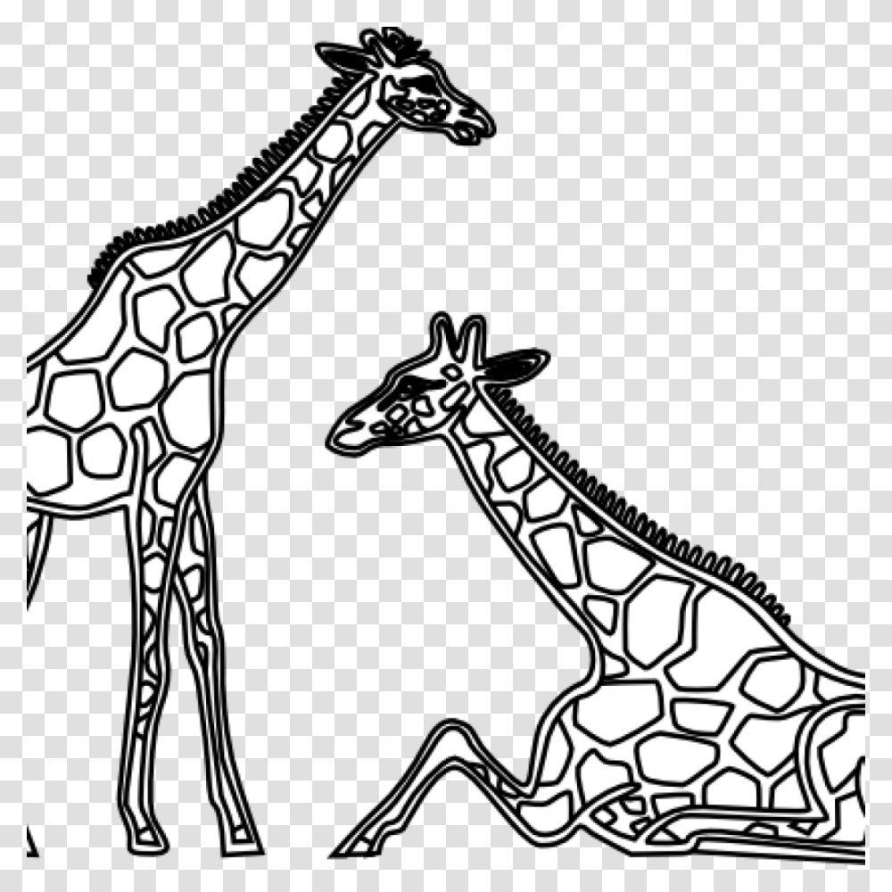 Giraffe Clipart Black And White Graduation Cap Clipart House, Wildlife, Mammal, Animal, Axe Transparent Png