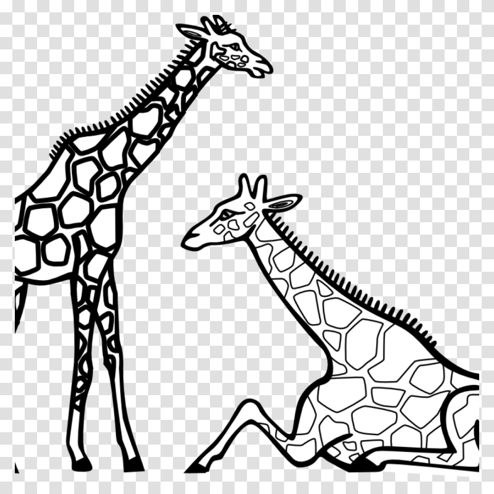 Giraffe Clipart Black And White Unicorn Clipart, Wildlife, Mammal, Animal, Antelope Transparent Png