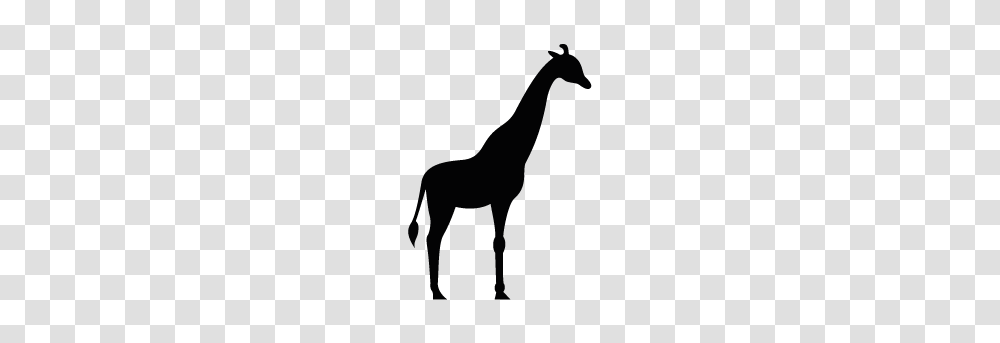 Giraffe Clipart Shadow, Person, Silhouette, Animal, Wildlife Transparent Png