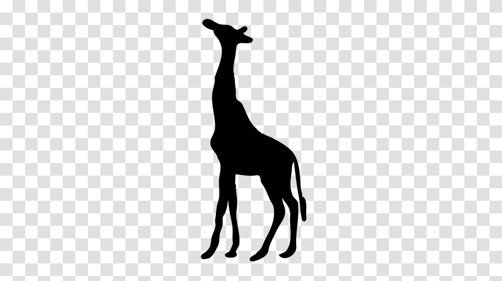 Giraffe Contour Vector Clip Art, Gray, World Of Warcraft Transparent Png