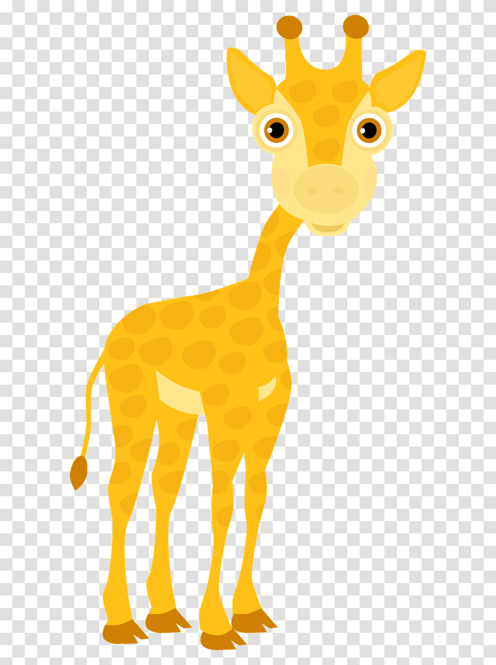 Giraffe Cub Zoo Picpng Safari Animals, Mammal, Key, Rattle Transparent Png
