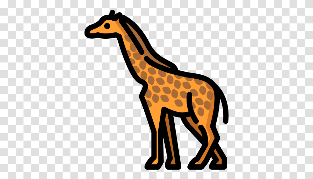 Giraffe Free Animals Icons Animal Figure, Wildlife, Mammal, Antelope, Bird Transparent Png