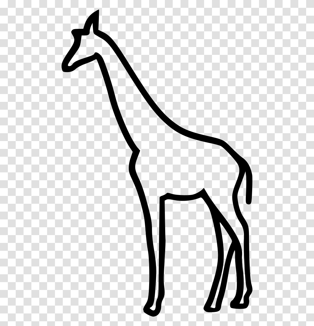 Giraffe Giraffe Icon, Antelope, Wildlife, Mammal, Animal Transparent Png