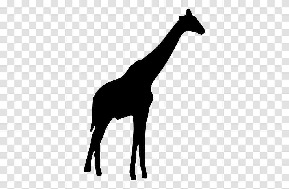 Giraffe Head Clipart Black And White Giraffe Black And White, Silhouette, Person, Human, Leisure Activities Transparent Png