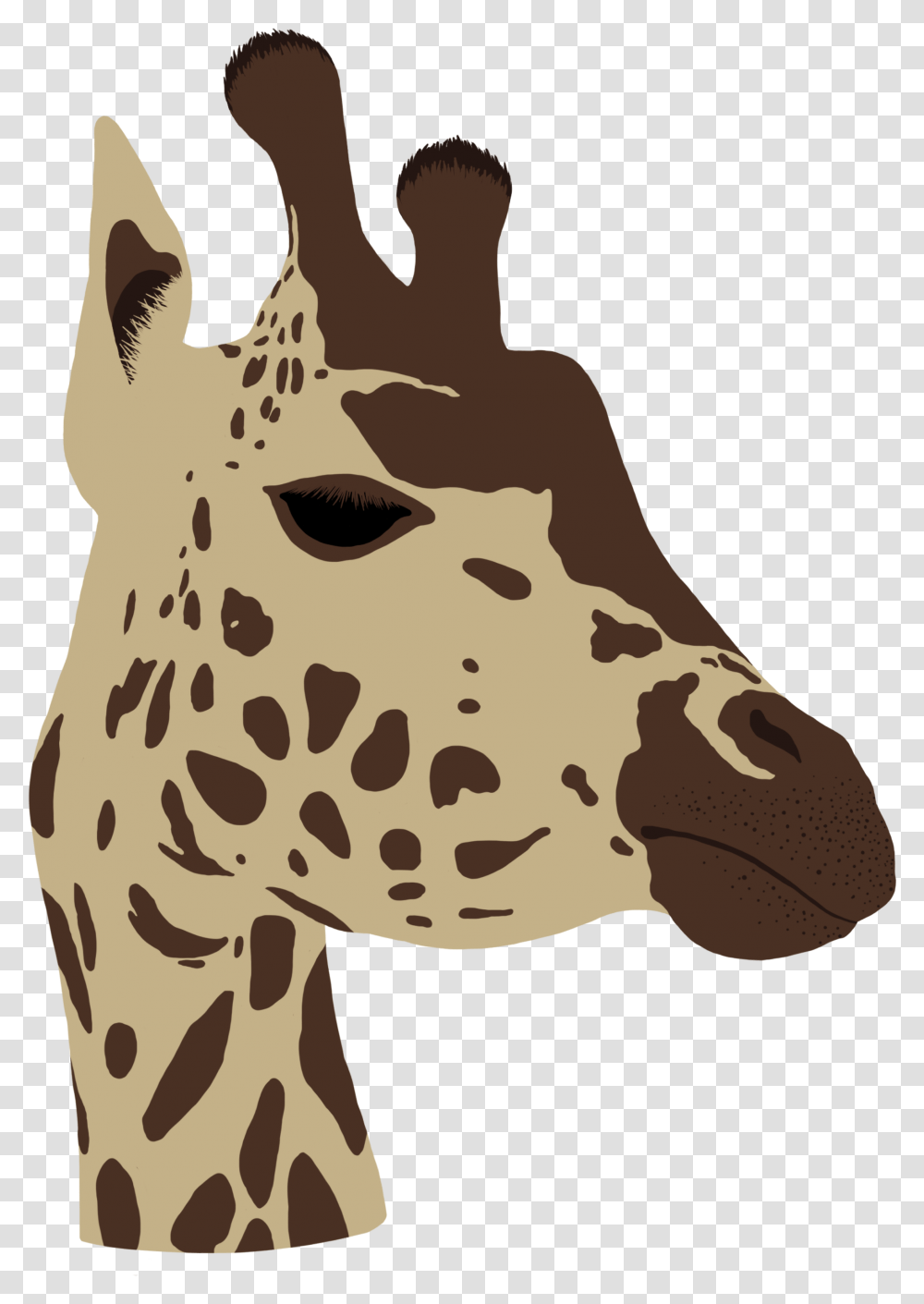 Giraffe Head Giraffe, Mammal, Animal, Wildlife, Person Transparent Png