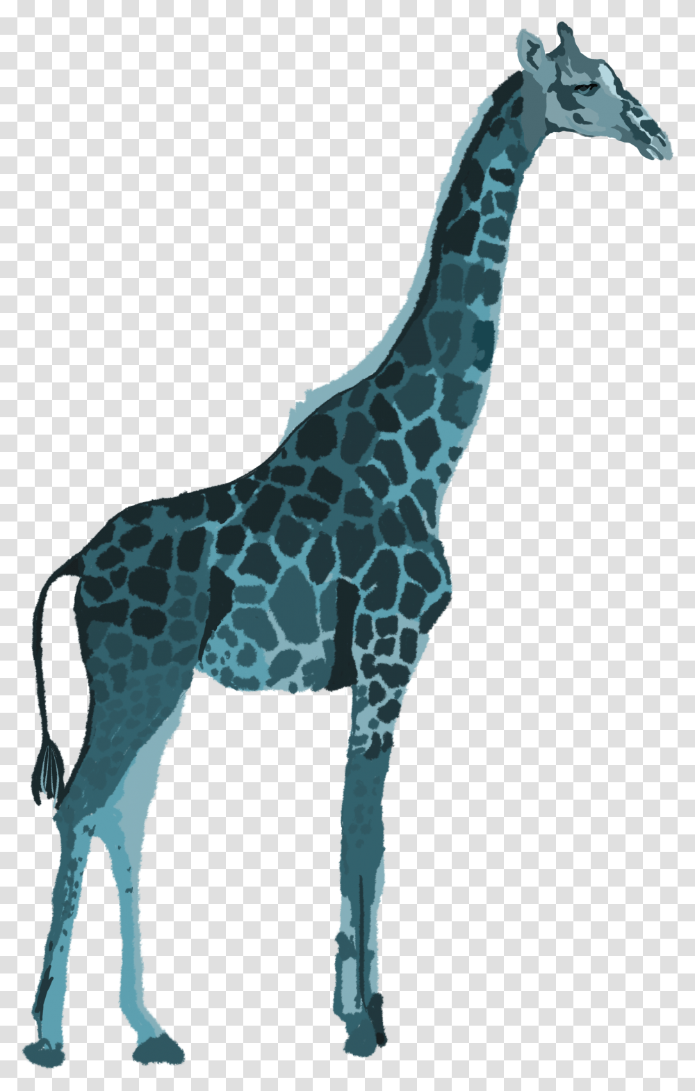 Giraffe Head Giraffe, Mammal, Animal, Wildlife Transparent Png
