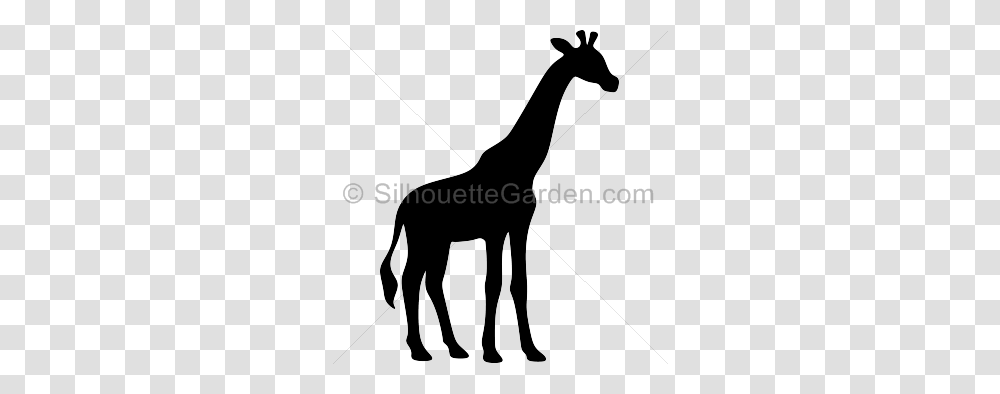 Giraffe Head Silhouette Clipart, Mammal, Animal, Wildlife, Horse Transparent Png