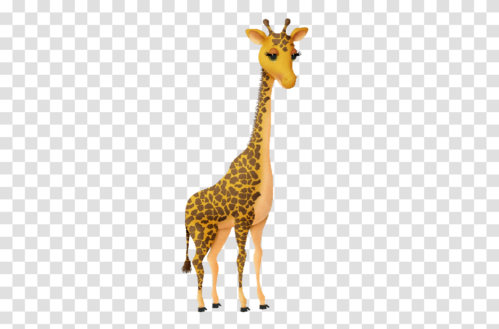 Giraffe Images Clipart, Wildlife, Mammal, Animal, Deer Transparent Png