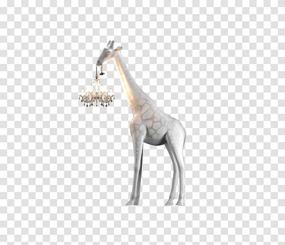 Giraffe In Love Medium - The Bazaar Project Giraffe In Love Lamp, Antelope, Wildlife, Mammal, Animal Transparent Png