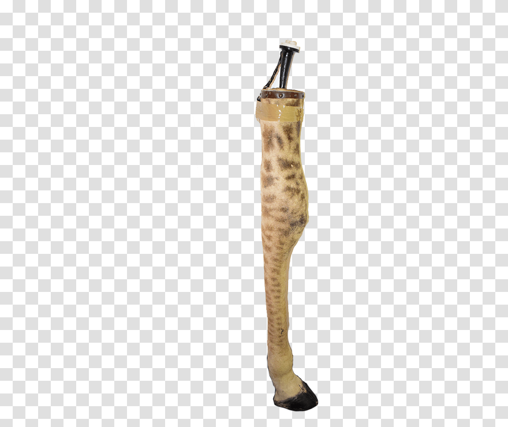 Giraffe Leg Lamp Gll12 Animal Print, Plant, Mammal, Gecko, Reptile Transparent Png