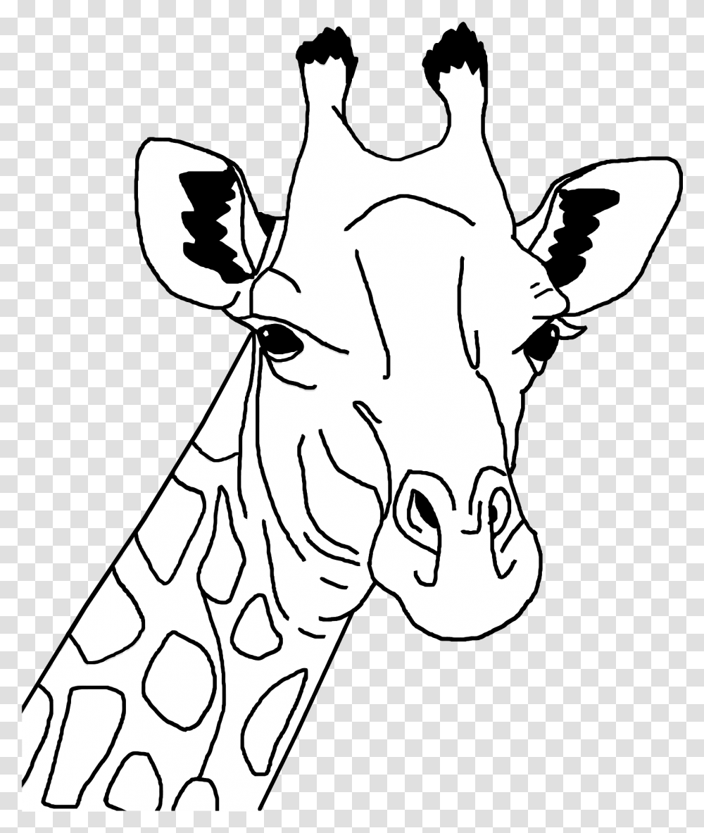 Giraffe Line Art Clip Arts Giraffe Face Clipart Black And White, Mammal, Animal, Wildlife, Zebra Transparent Png