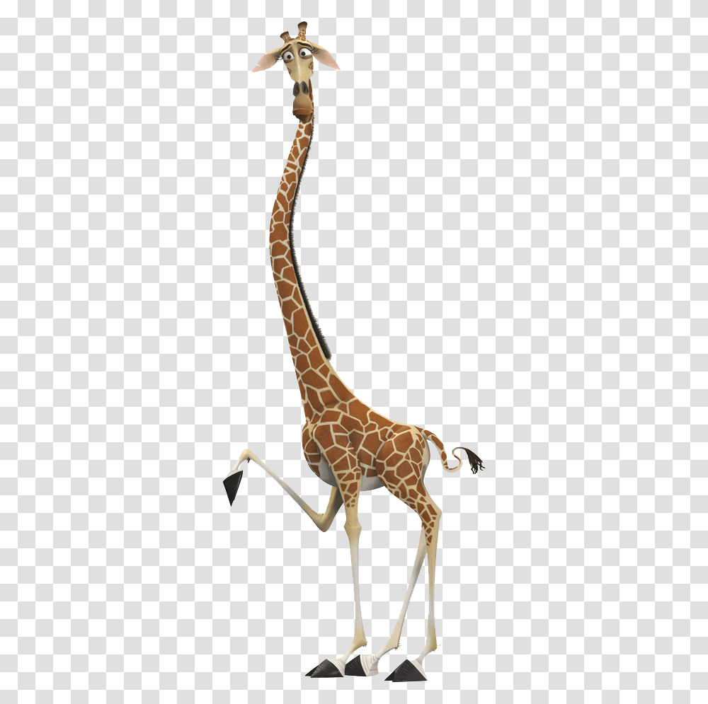 Giraffe Madagascar Melman The Giraffe, Wildlife, Mammal, Animal Transparent Png