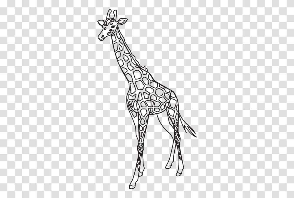 Giraffe Outline, Wildlife, Animal, Mammal, Stencil Transparent Png
