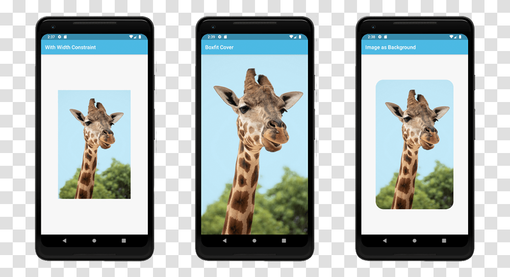Giraffe, Phone, Electronics, Mobile Phone, Cell Phone Transparent Png