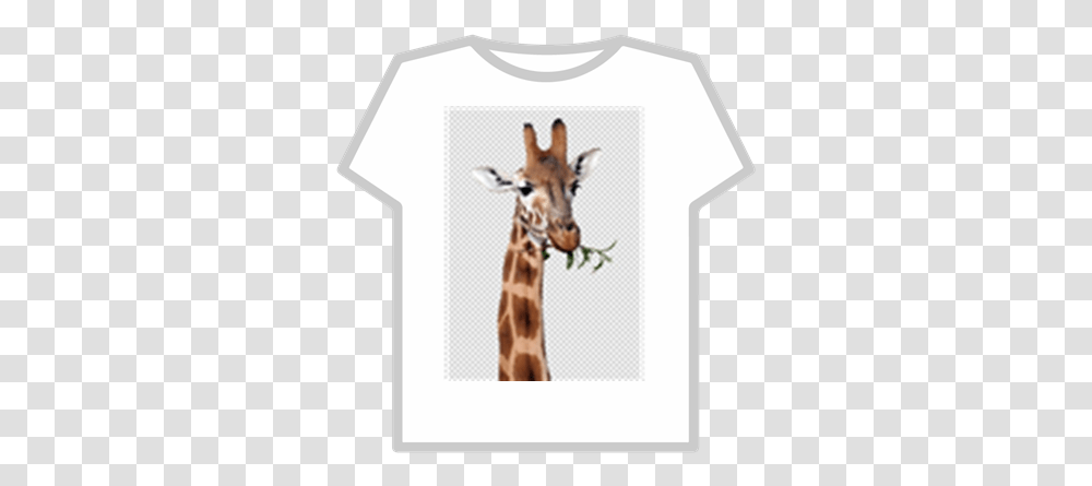 Giraffe Productive Mr Duck Roblox T Shirt, Clothing, Apparel, Wildlife, Mammal Transparent Png
