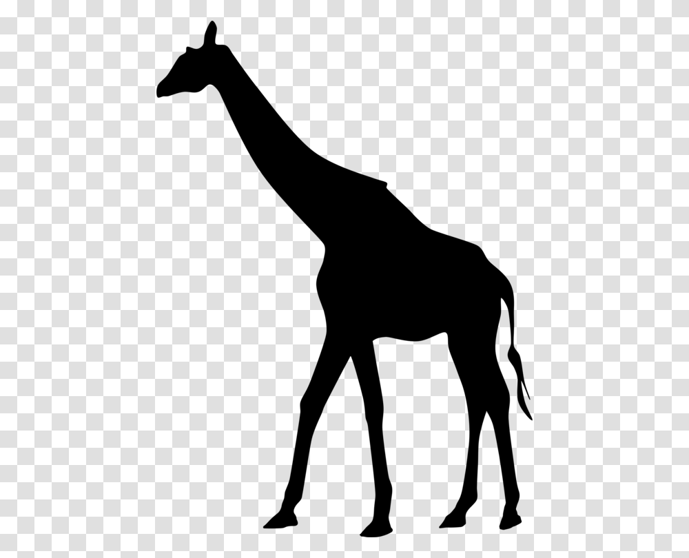 Giraffe Silhouette Drawing Art, Gray, World Of Warcraft Transparent Png