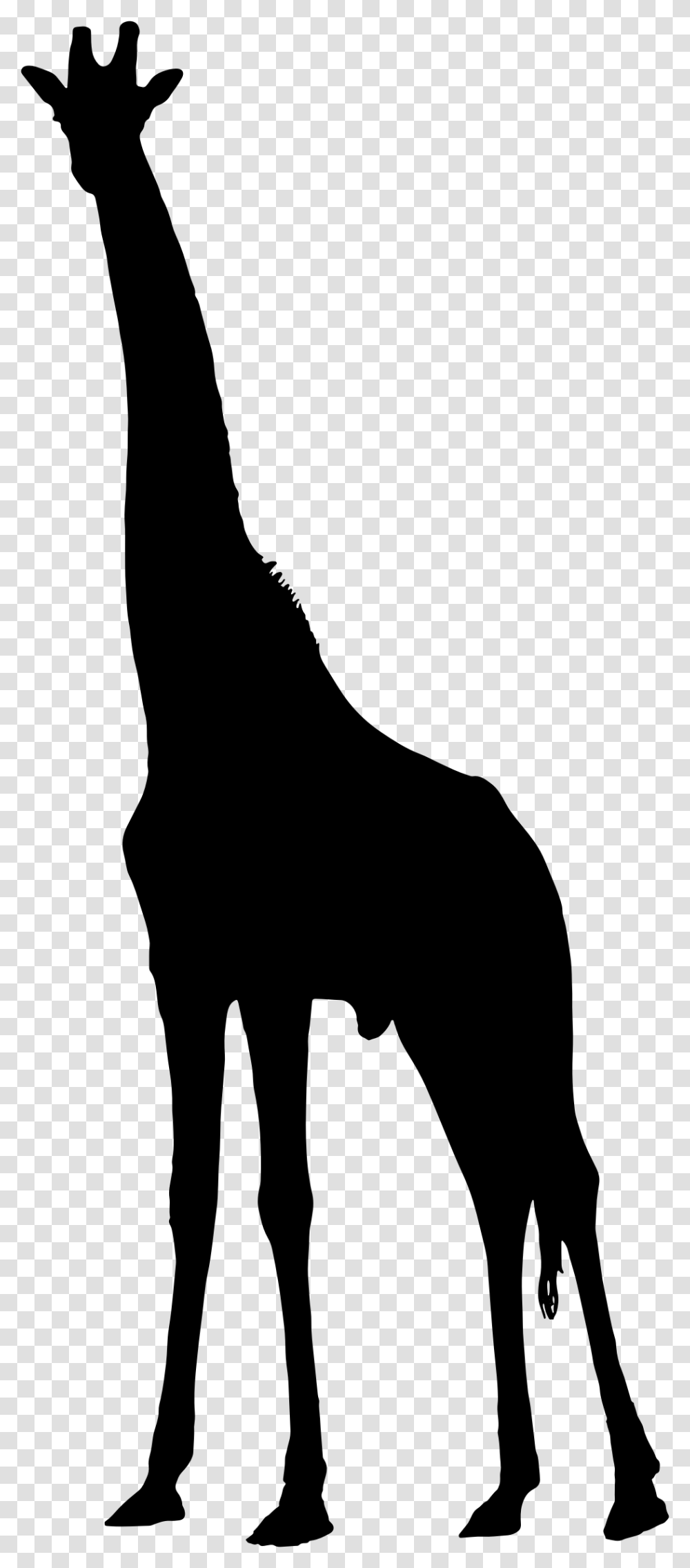 Giraffe Silhouette Icons, Gray, World Of Warcraft Transparent Png