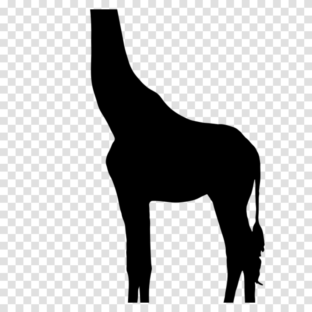 Giraffe Silhouette Onlinelabels Clip Art Music Clipart, Gray, World Of Warcraft Transparent Png