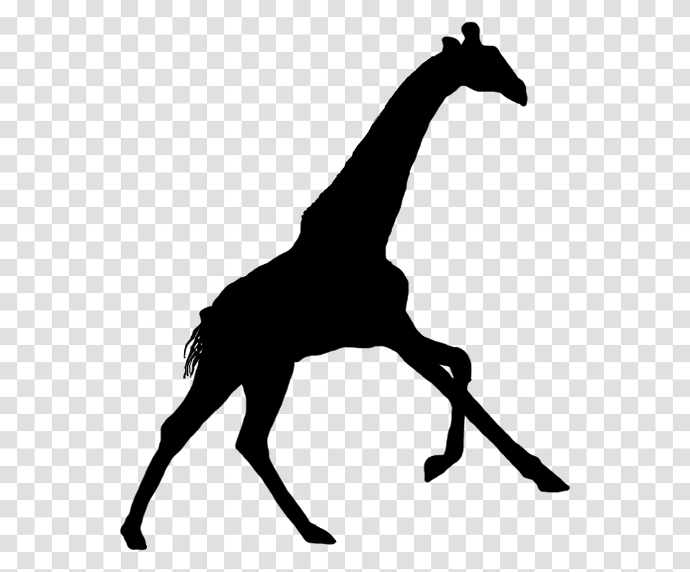 Giraffe Silhouette Simple Giraffe Silhouette, Number, Word Transparent Png