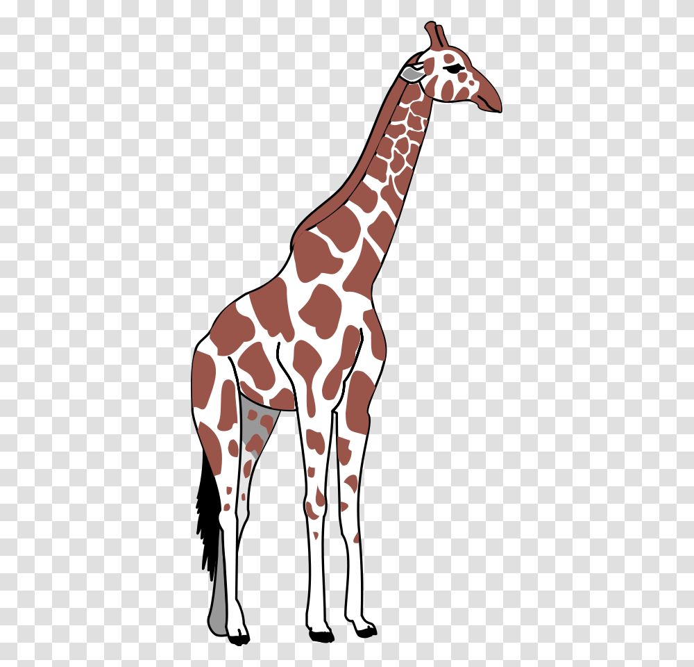 Giraffe Svg Clip Arts Tall And Short Clipart, Wildlife, Mammal, Animal, Person Transparent Png
