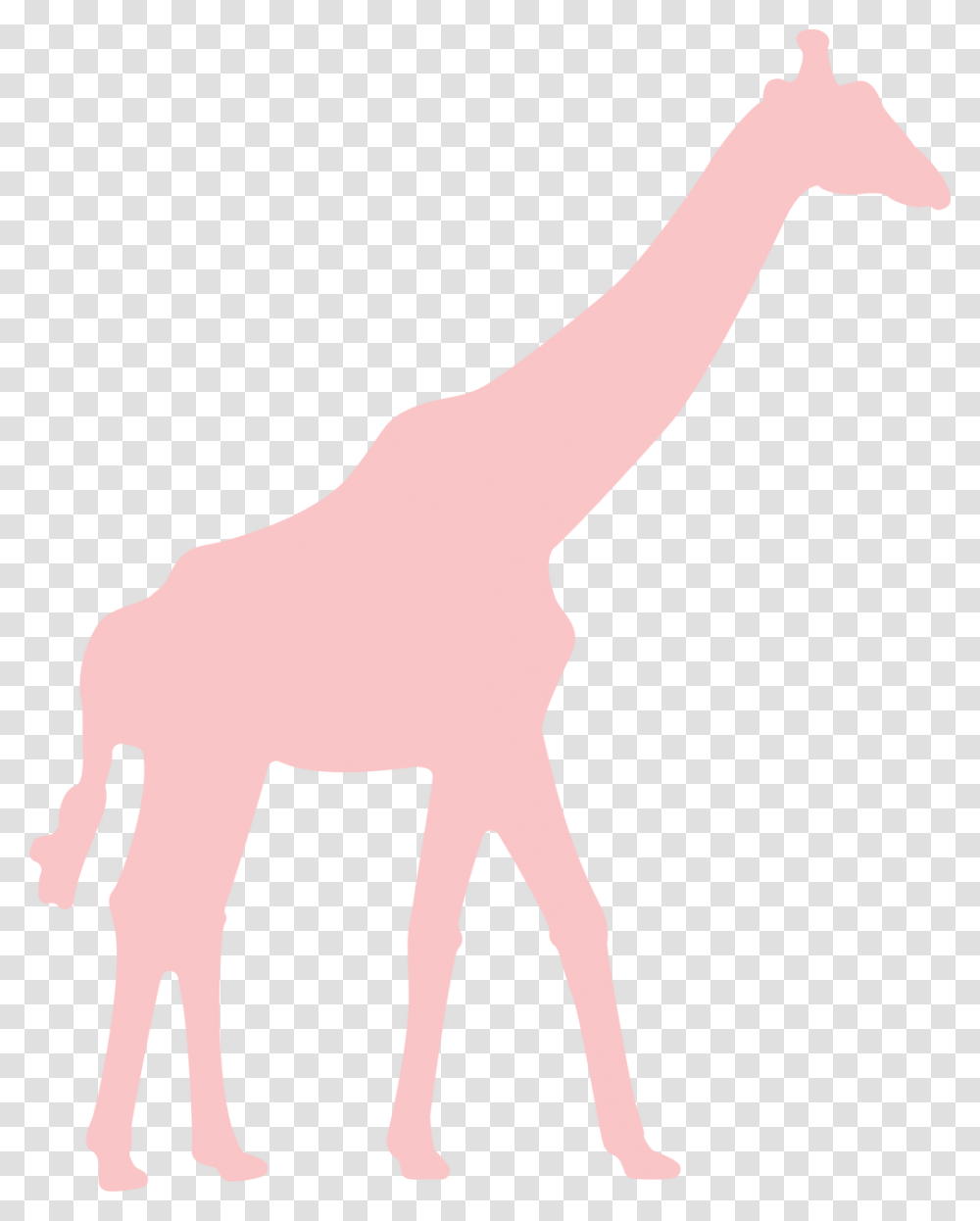 Giraffe Svg Cut File Giraffe Svg, Mammal, Animal, Person, Human Transparent Png