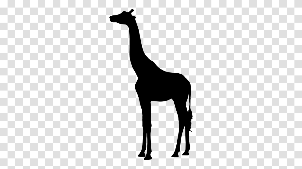 Giraffe Vector Silhouette, Gray, World Of Warcraft Transparent Png