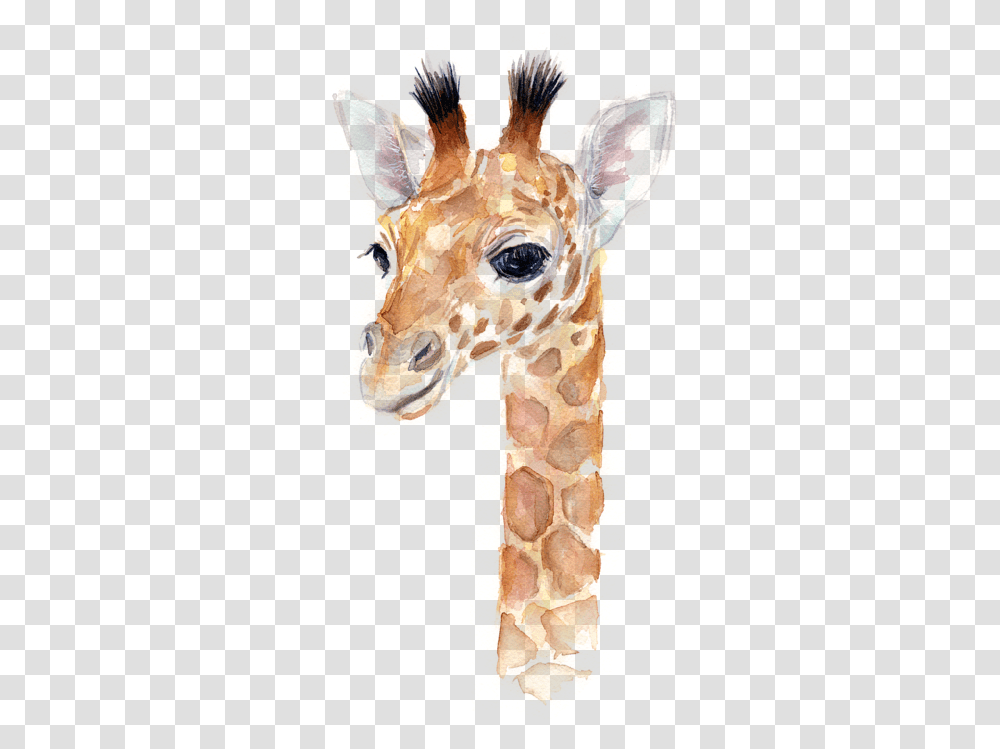 Giraffe Watercolor Kids T Baby Animal Prints Free Download, Wildlife, Mammal, Modern Art Transparent Png