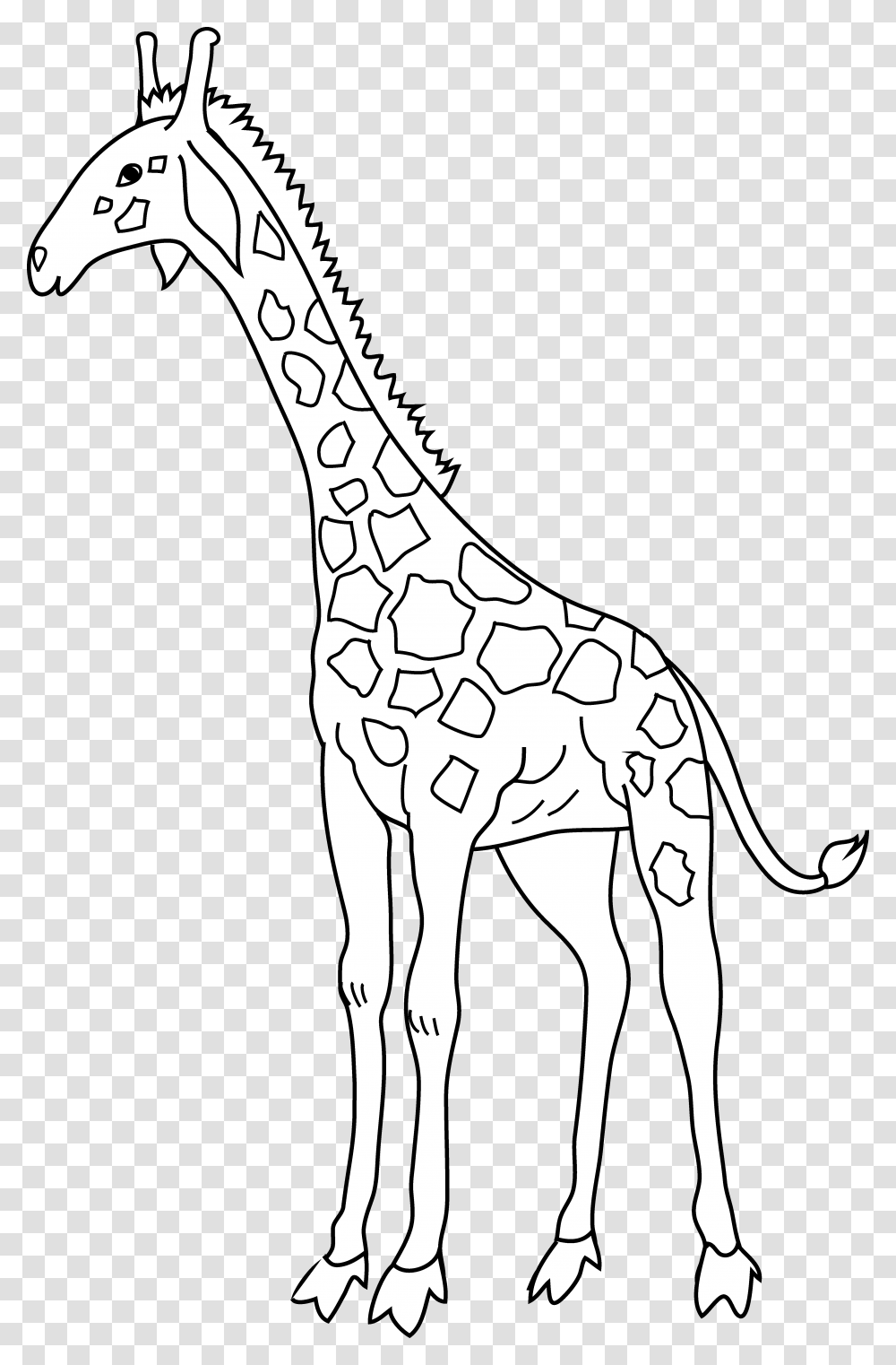 Giraffe, Wildlife, Mammal, Animal, Cross Transparent Png