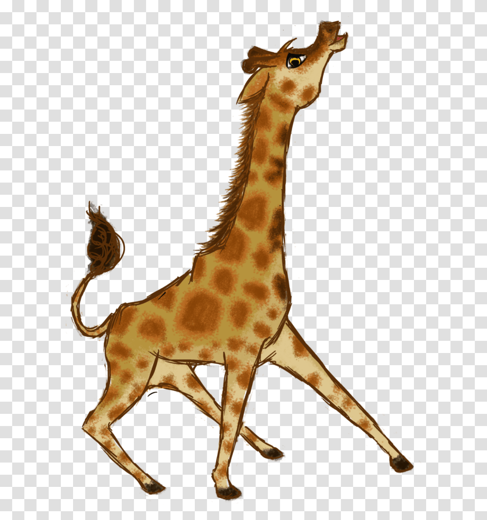 Giraffe, Wildlife, Mammal, Animal, Plush Transparent Png