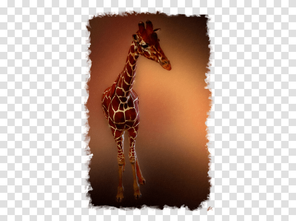 Giraffe, Wildlife, Mammal, Animal, Strap Transparent Png