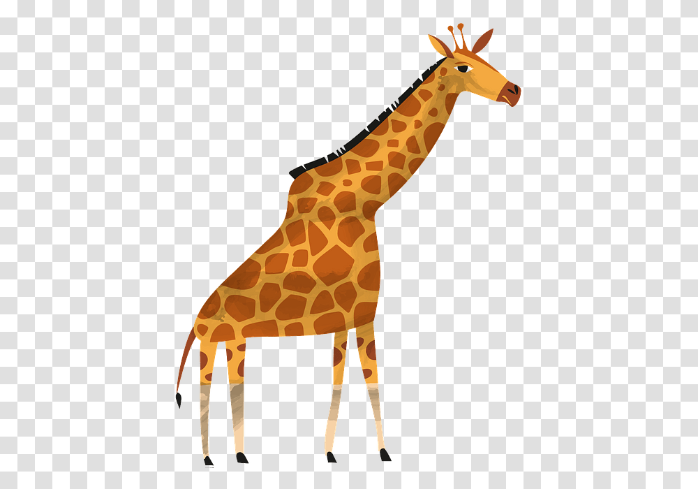 Giraffe, Wildlife, Mammal, Animal Transparent Png