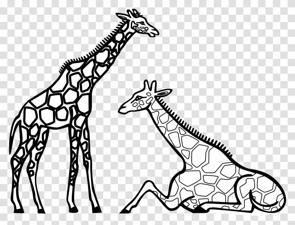 Giraffes Black And White, Wildlife, Mammal, Animal, Antelope Transparent Png