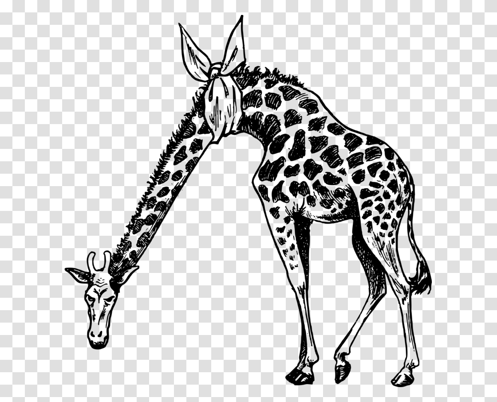 Giraffidaeline Artwildlife Pain In The Neck Giraffe, Gray, World Of Warcraft Transparent Png